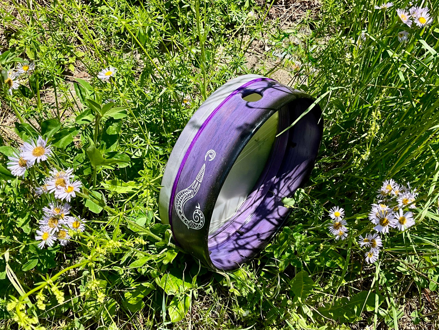 Customize your Drum with a Polychrome Sunburst or Fade Finish