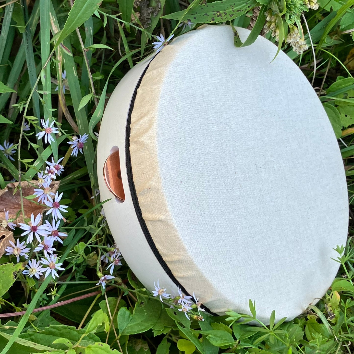 Kanjira, Ganesh Kumar series, pearll white, in meadow